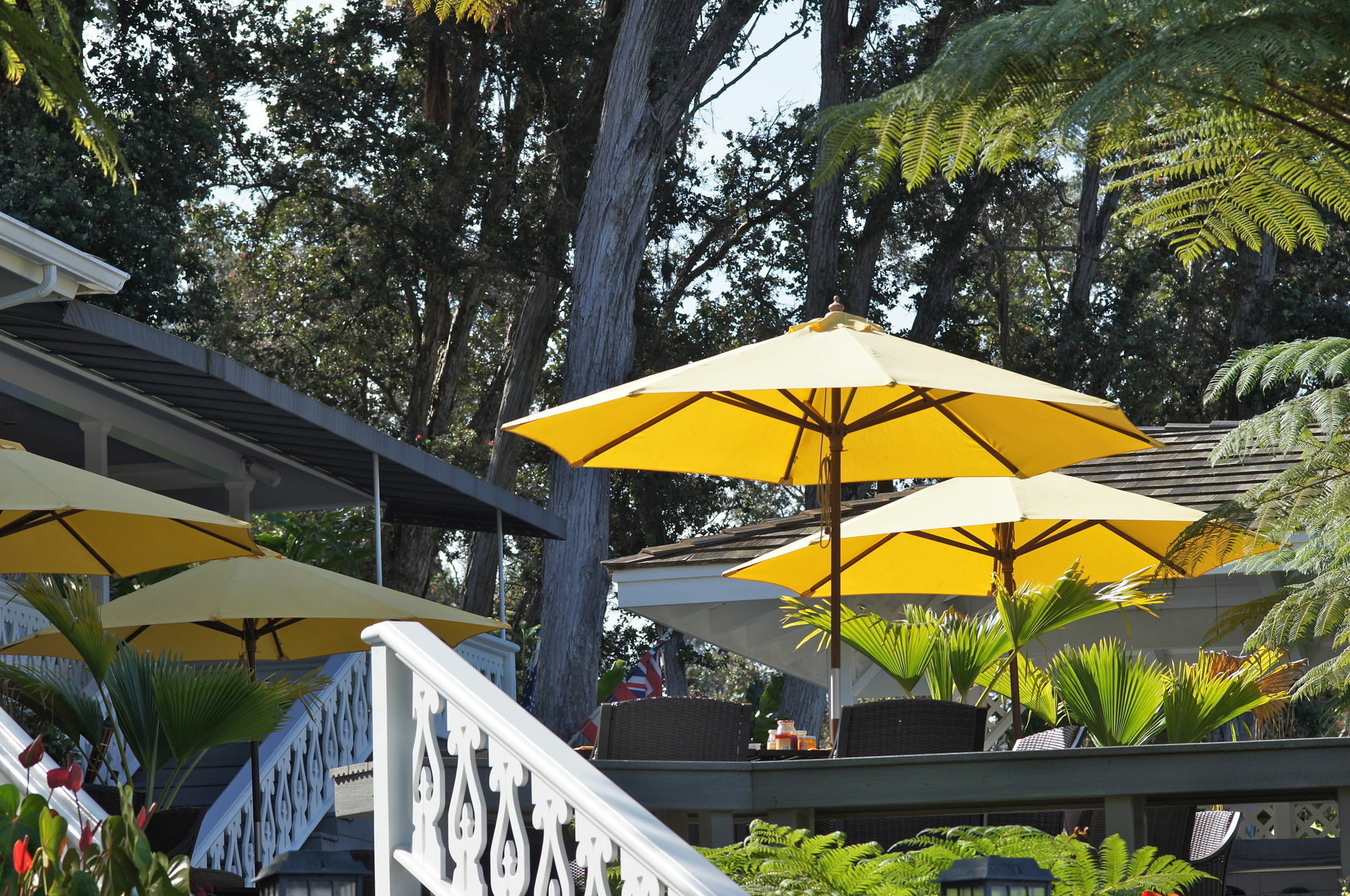 Ohia Kona Estates - An All Suites B&B カラオア エクステリア 写真